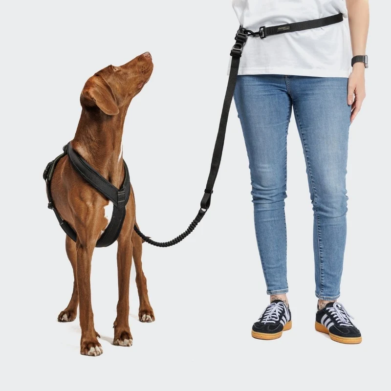 Y-1 Hundegeschirr AKTIV Air-Mesh Black