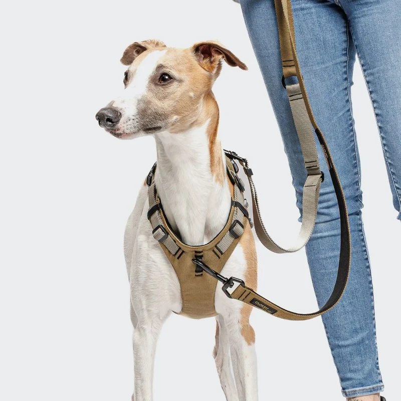L-1 Freihandleine AKTIV Khaki/Grey