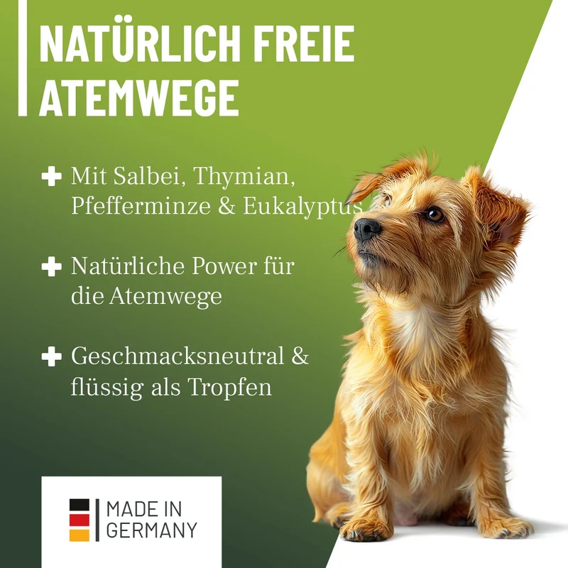 Hustensaft Tropfen