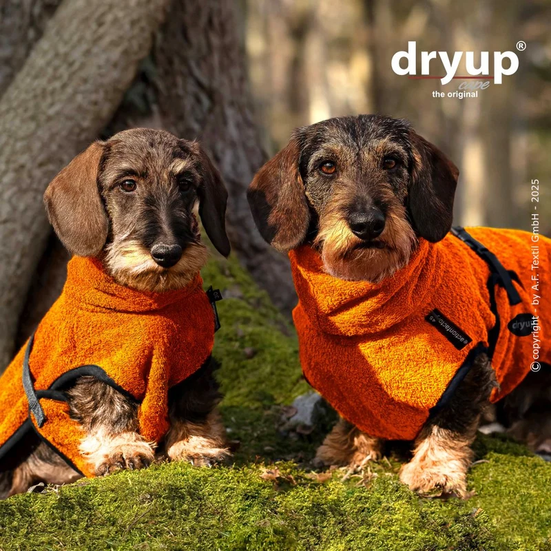 Dryup Cape Hundebademantel Dackel Clementine