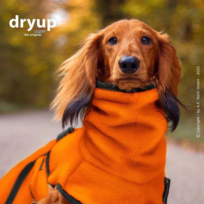 Dryup Cape Hundebademantel Dackel Clementine