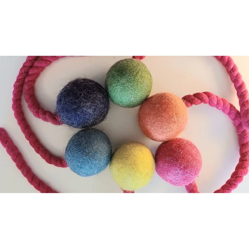 Jumping Schleuder-Filzball