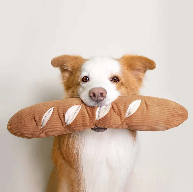 Schnüffelspielzeug Baguette