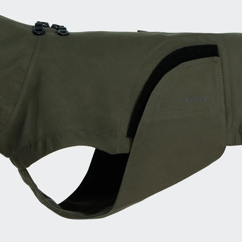Hunderegenmantel Dackel Dublin 2.0 Dark Olive