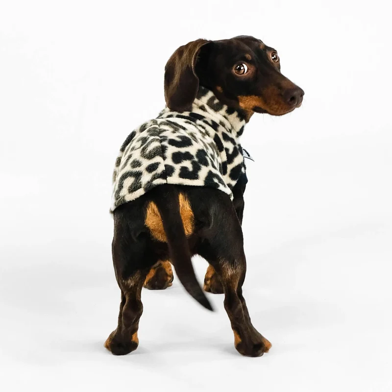 Fleece Shirt für Dackel Leo