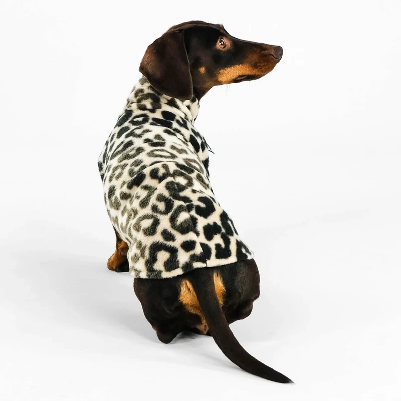 Fleece Shirt für Dackel Leo