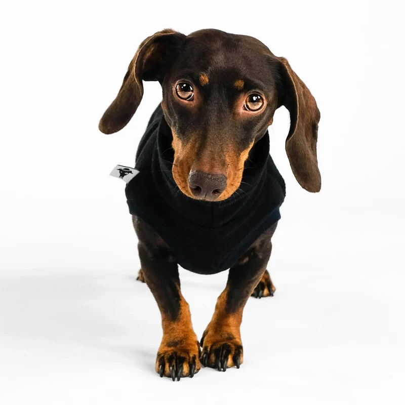 Fleece Shirt für Dackel Schwarz