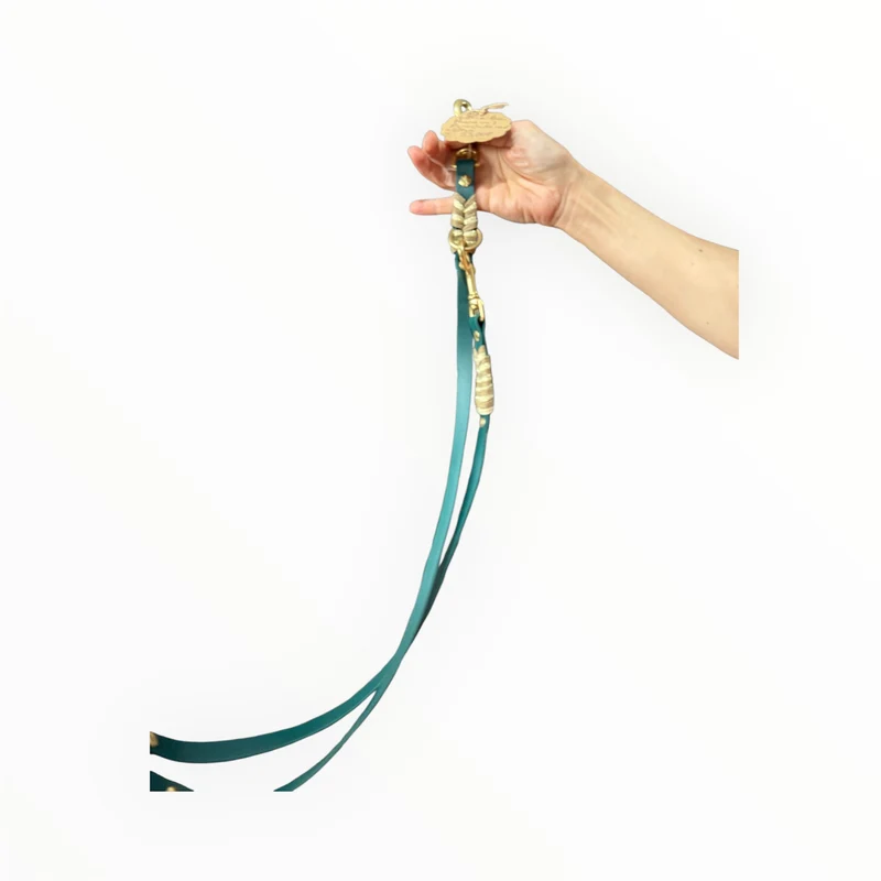Leine Biothane mit Parachute Cord