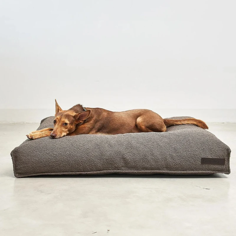 Mondo Hundekissen Schokolade