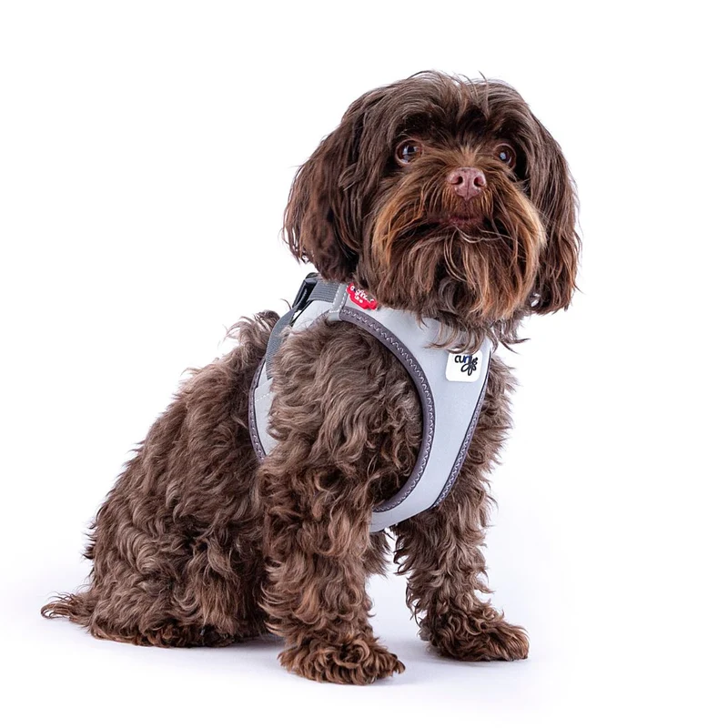 Hundegeschirr Glow Clasp Vest Harness Reflective Grey