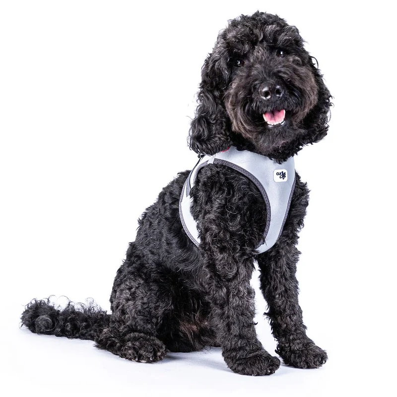Hundegeschirr Glow Clasp Vest Harness Reflective Grey