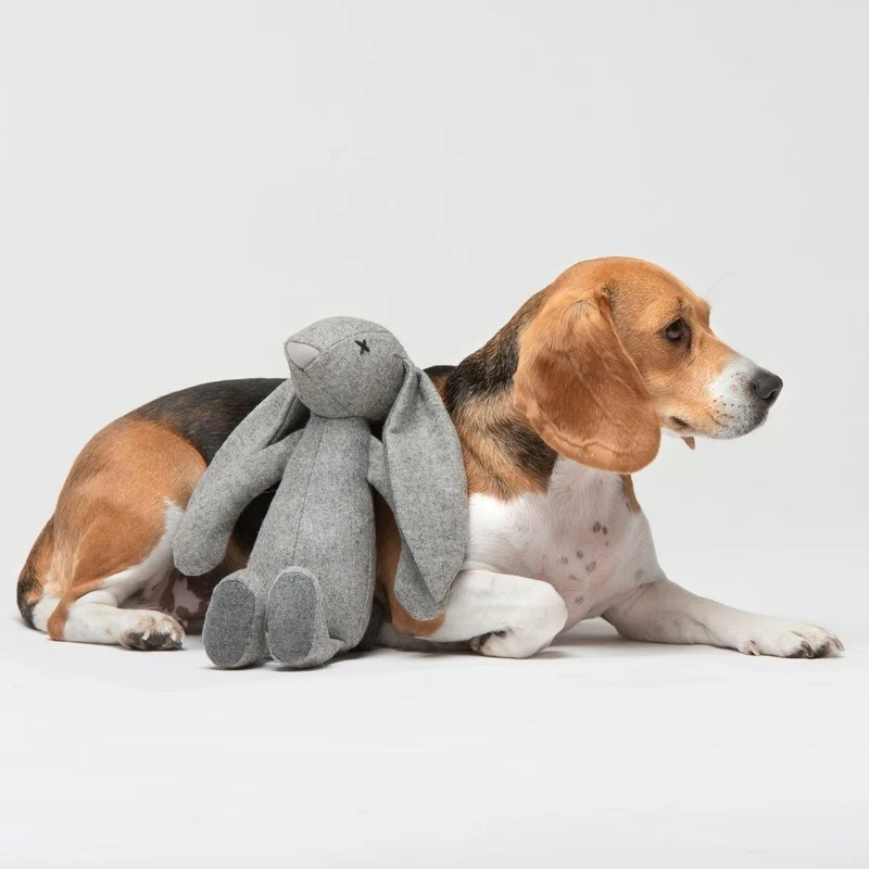 Hundespielzeug Rupert Rabbit