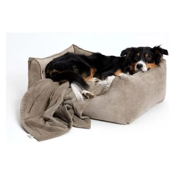 Dogs in the City Hundebett Box Bett Chelsea Cord