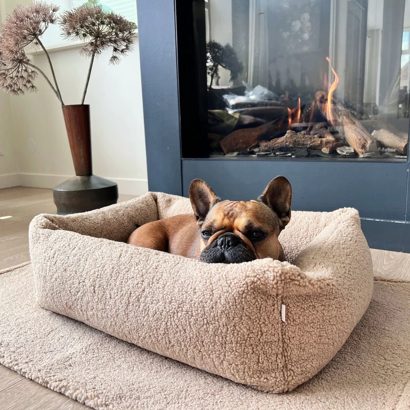 Hundebett Teddy Bouclé Ortho oder Classic Creme