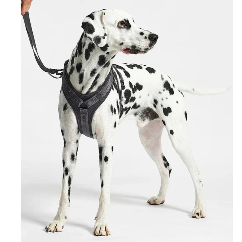 Modena Hundegeschirr Asphalt