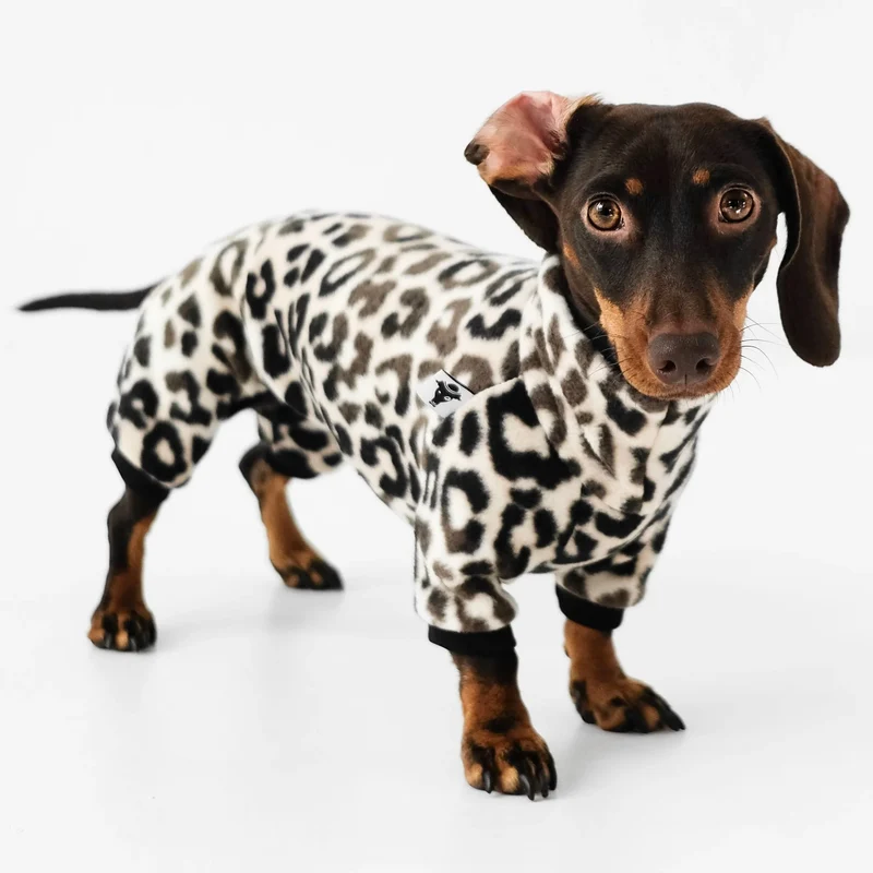 Fleece Overall für Dackel Leo