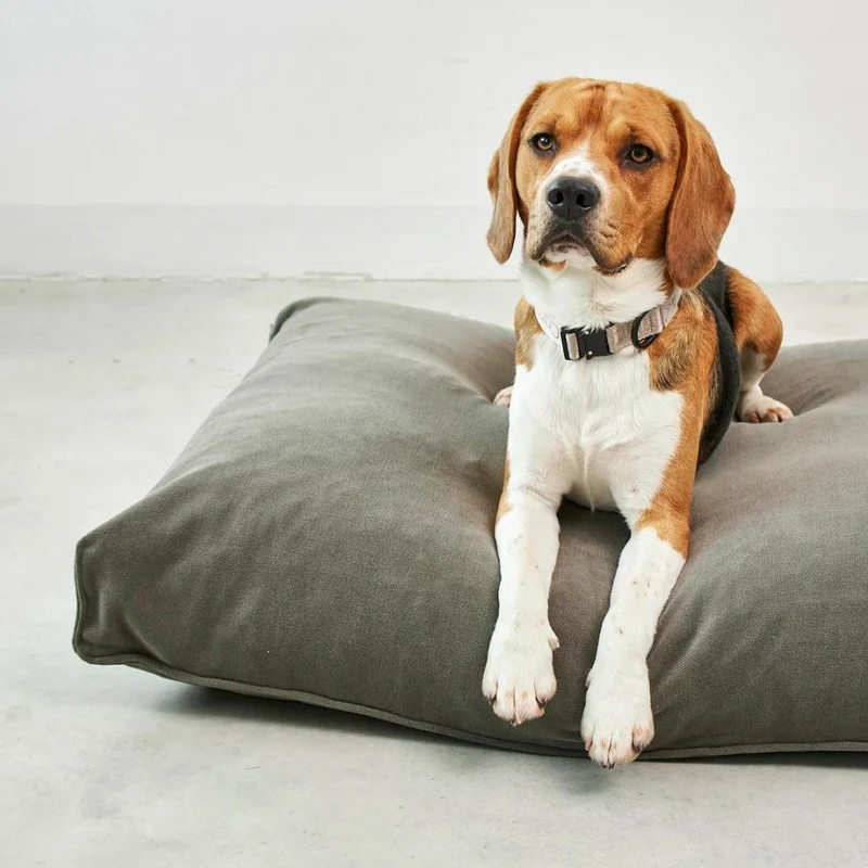 Comodo Hundekissen Salbei