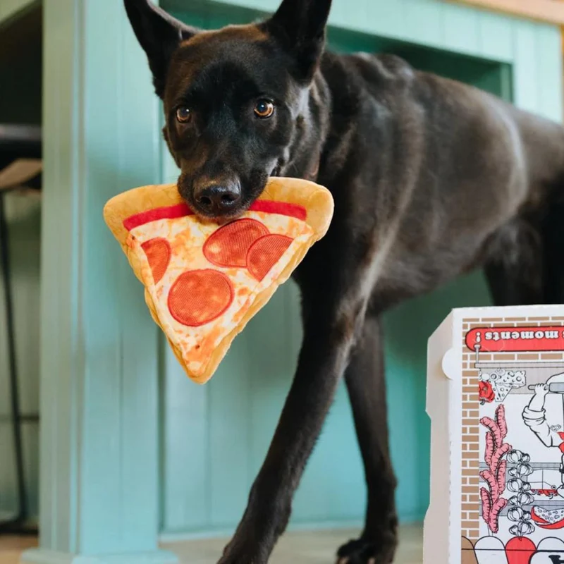 Hundespielzeug Puppy-roni Pizza