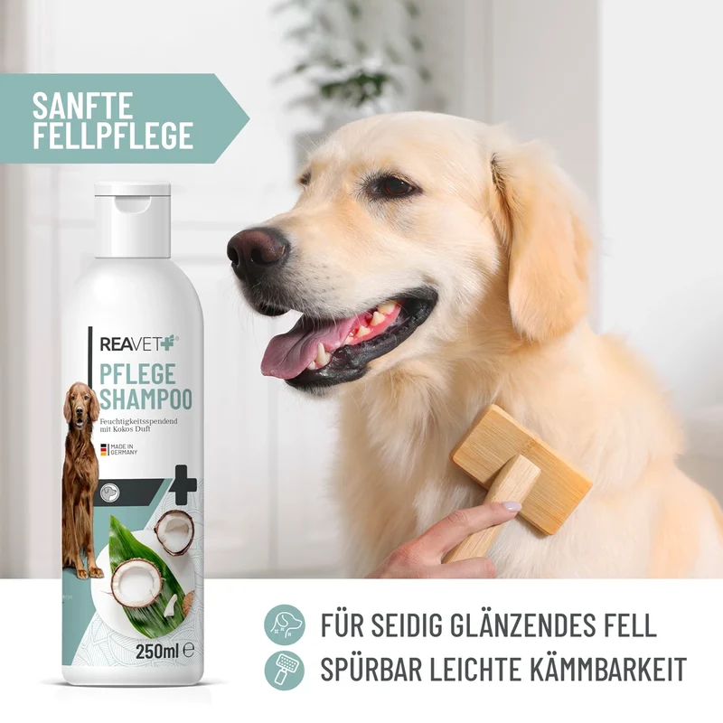 Pflegeshampoo Kokos