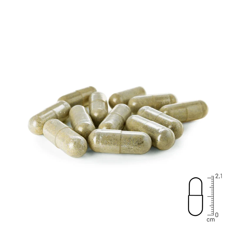 Wormwood Mix Kapseln
