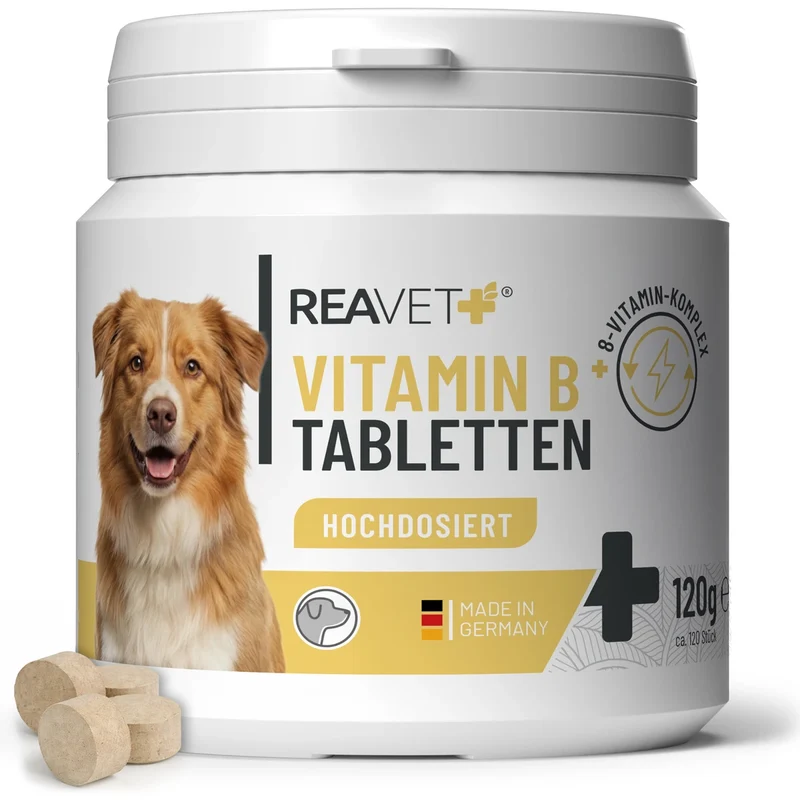Vitamin B Tabletten