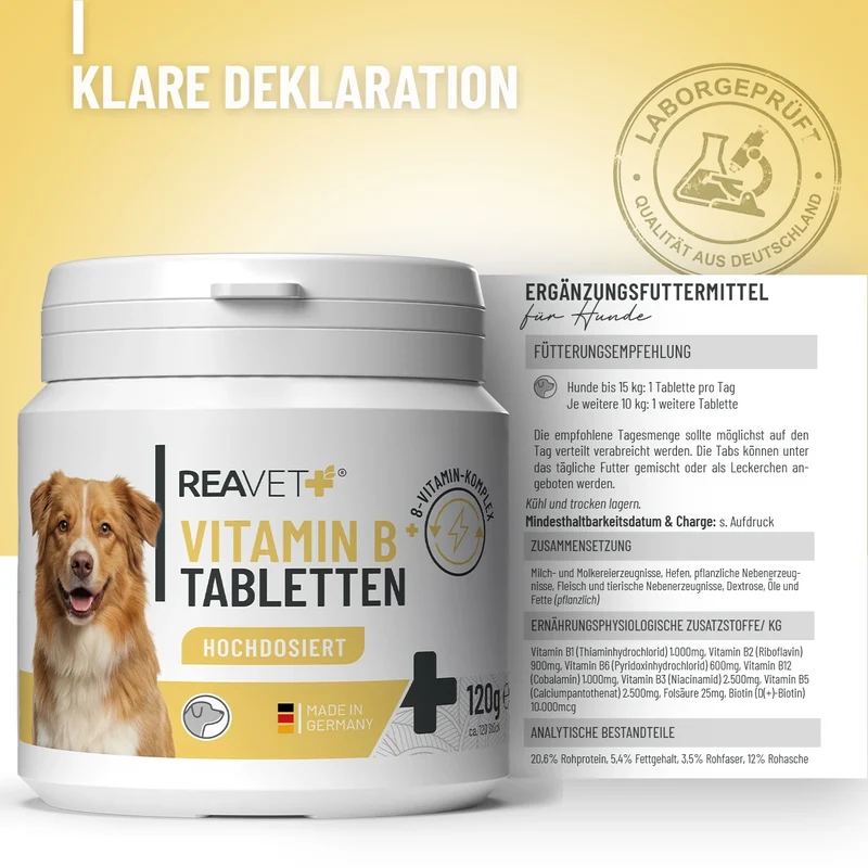 Vitamin B Tabletten