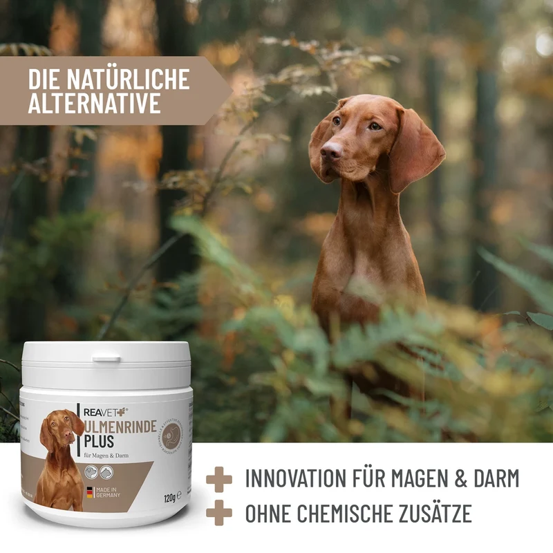 Ulmenrinde Plus