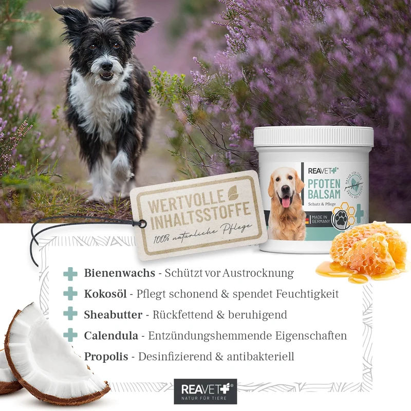Pfotenbalsam