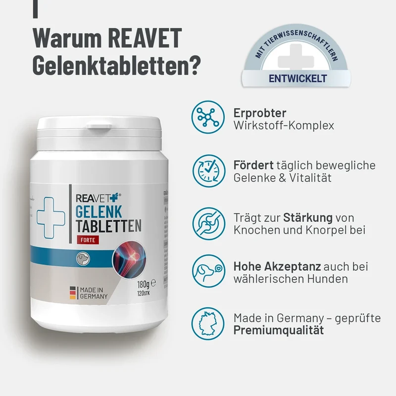 Gelenktabletten Forte