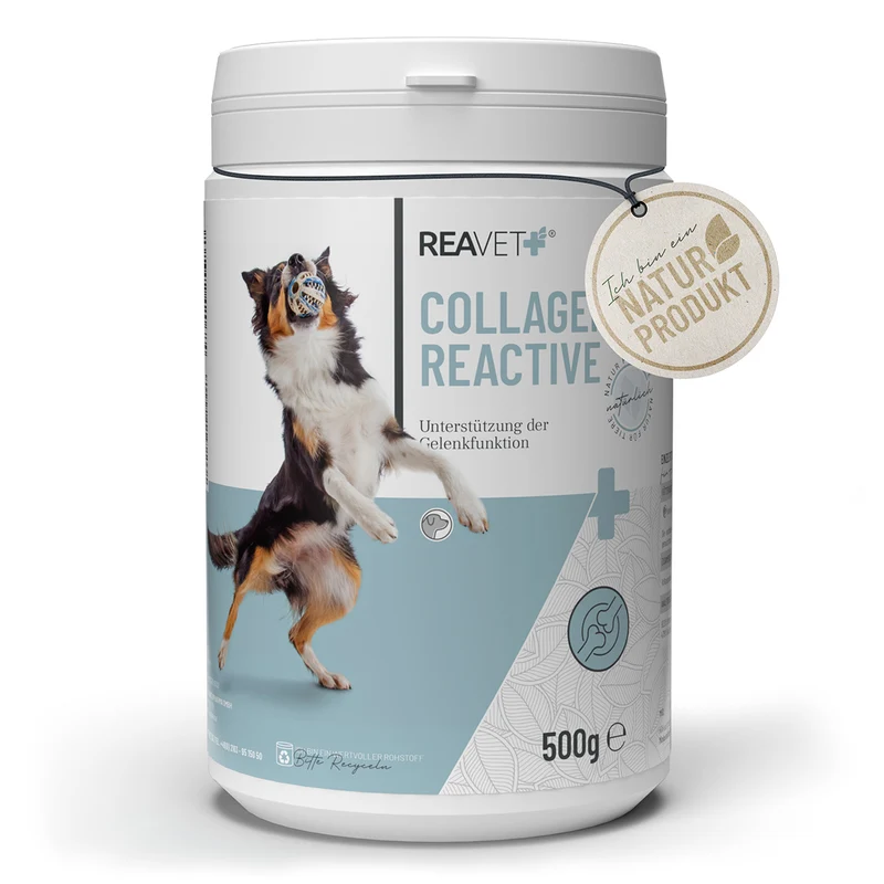Collagen Reactive