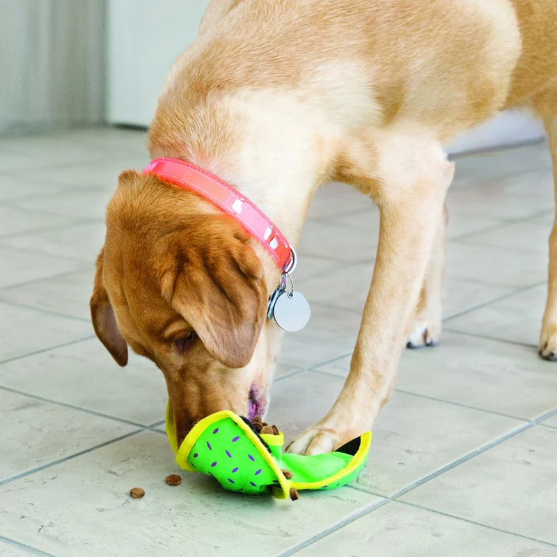 KONG Ballistic Hide'n Treat Hundespielzeug
