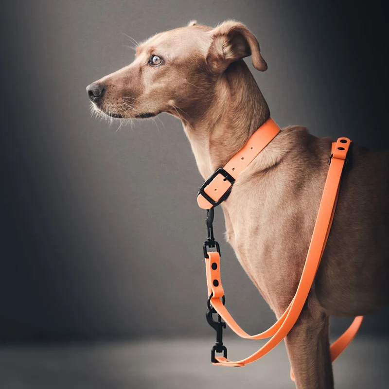 BioThane® Führleine NEO Neon Orange