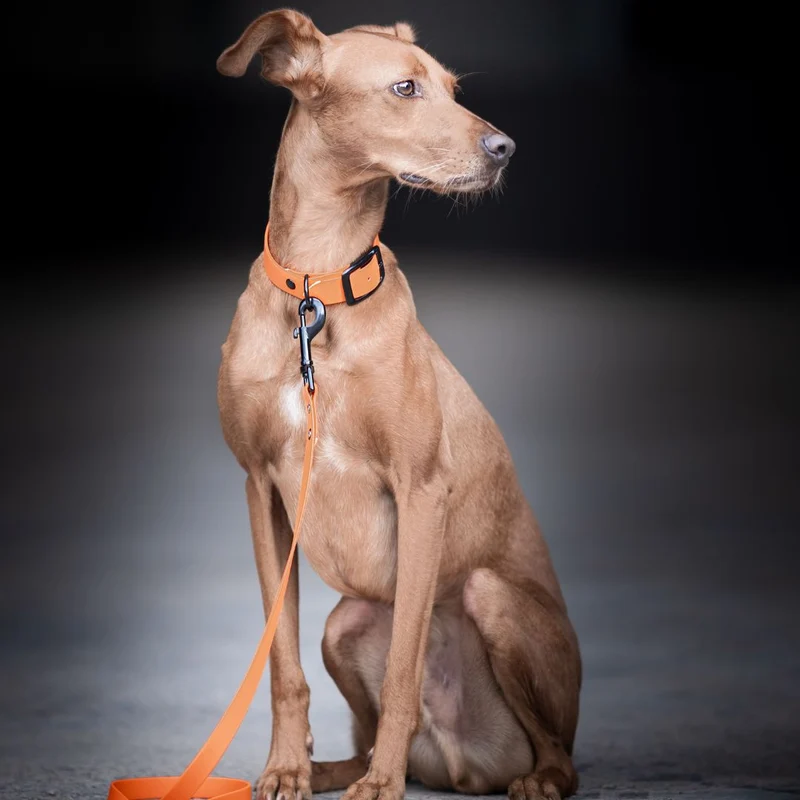 BioThane® City-Leine NEO Neon Orange