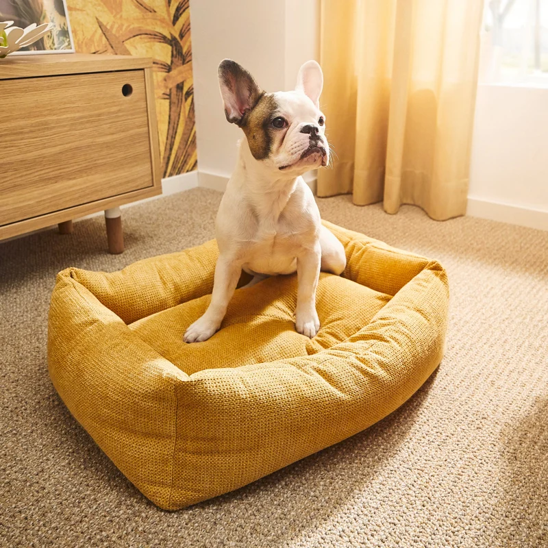 Hundebett Tudor Ortho oder Classic Gold
