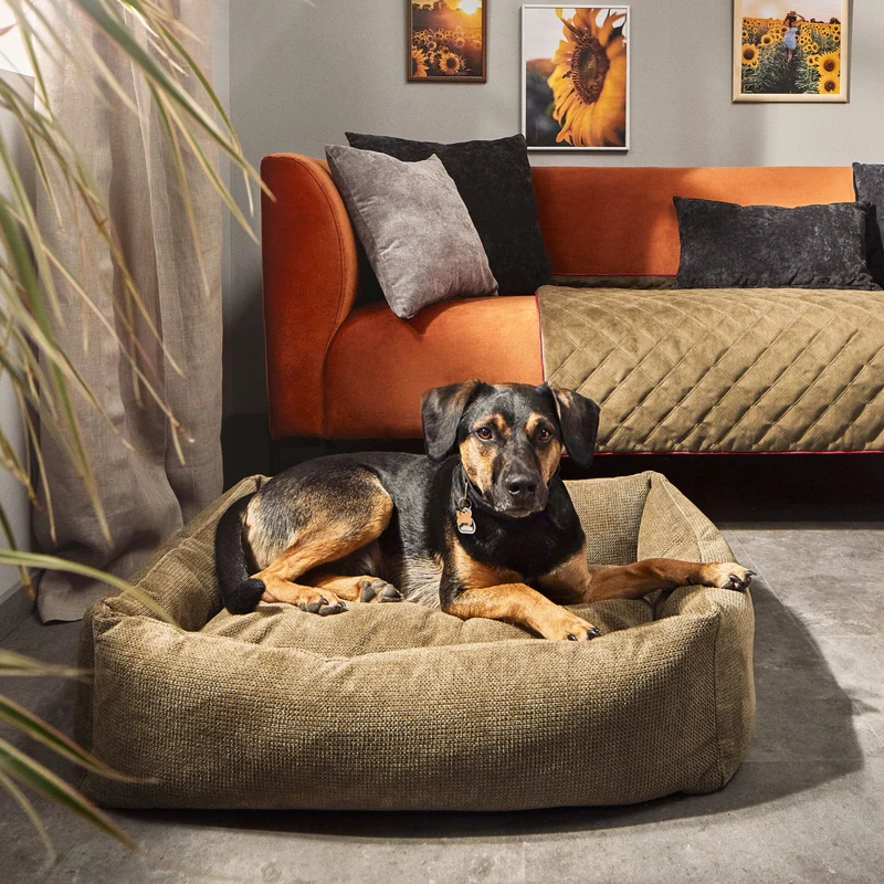 Hundebett Tudor Ortho oder Classic Olive