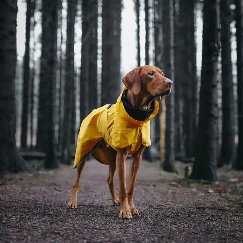 Vollreflektierender Hunderegenmantel Lite Yellow