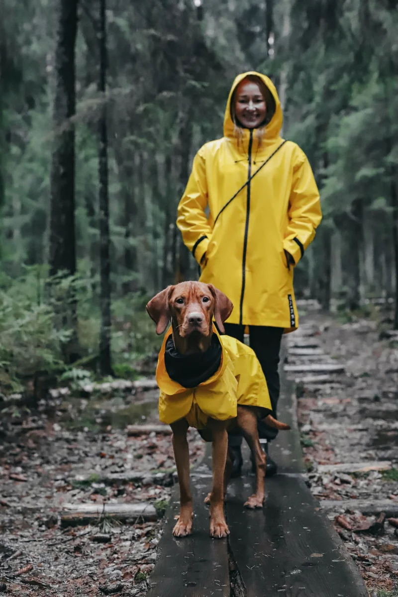 Vollreflektierender Hunderegenmantel Lite Yellow