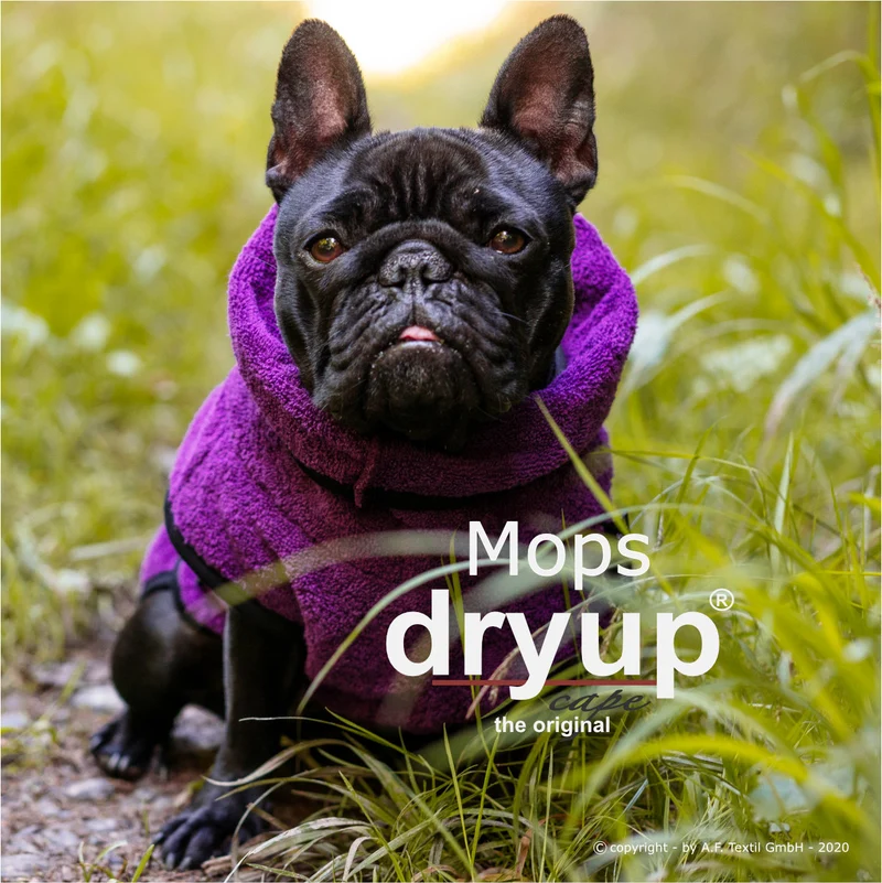 Dryup Cape Hundebademantel Mops und Bulldogge Bilberry