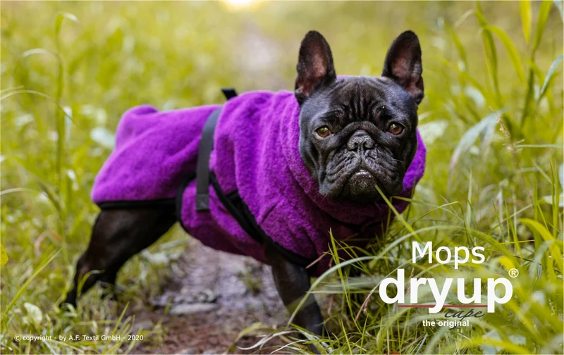 Dryup Cape Hundebademantel Mops und Bulldogge Bilberry