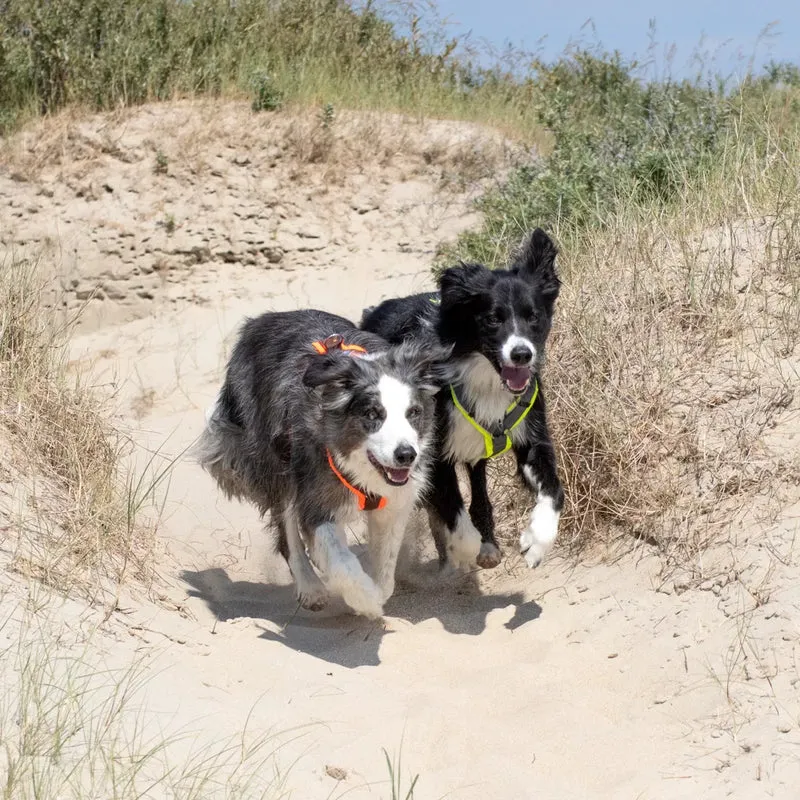 Hundegeschirr PROTECT Leuchtorange/Braun