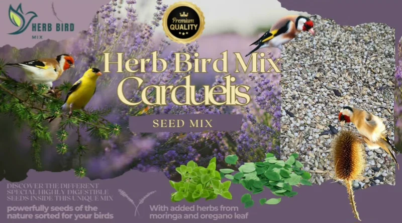 Carduelis-Samenmischung 5 kg (selbstverpackt) - Kräuter-Vogelfuttermischung