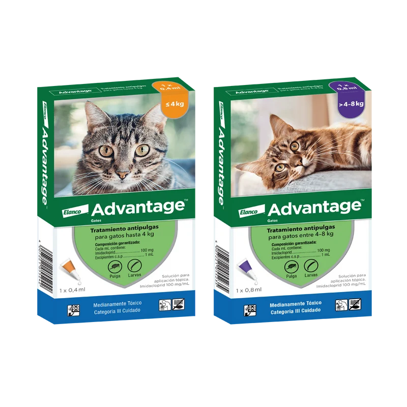 Advantage Gato – Antiparasitário Anti-Pulgas | Caixa com 4 Pipetas
