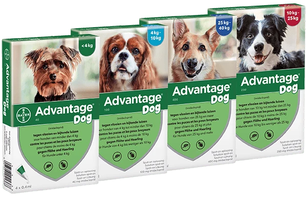 Advantage Cão – Antiparasitário Anti-Pulgas | Caixa com 4 Pipetas