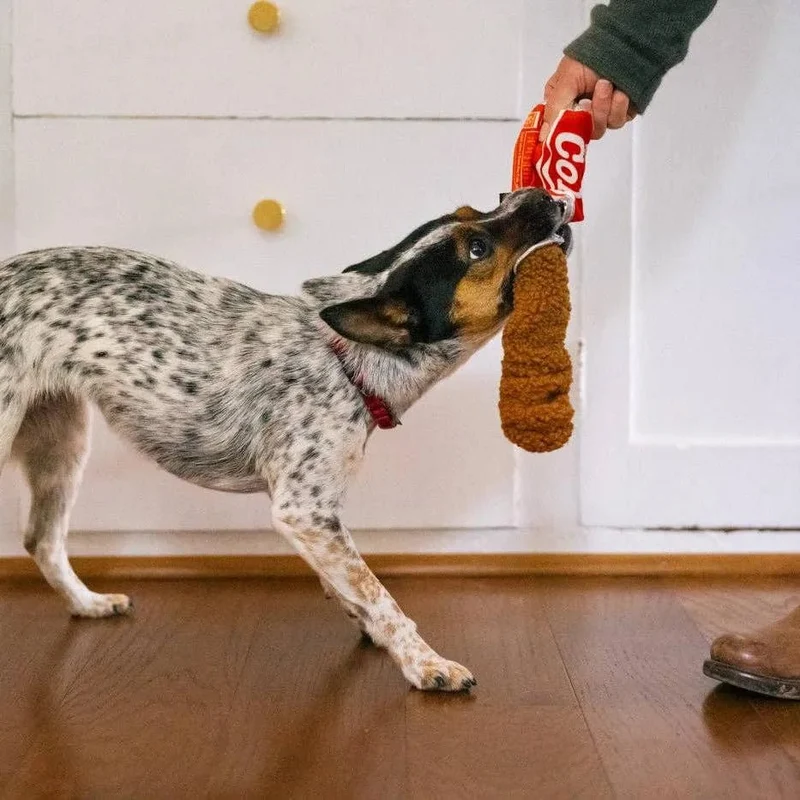 Brinquedo Snack Attack Good Boy Cola da P.L.A.Y. (Tamanho M)