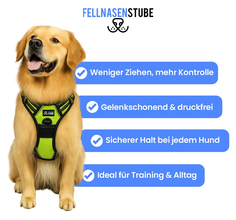 Fellnasenstube® Anti-Zieh Hundegeschirr