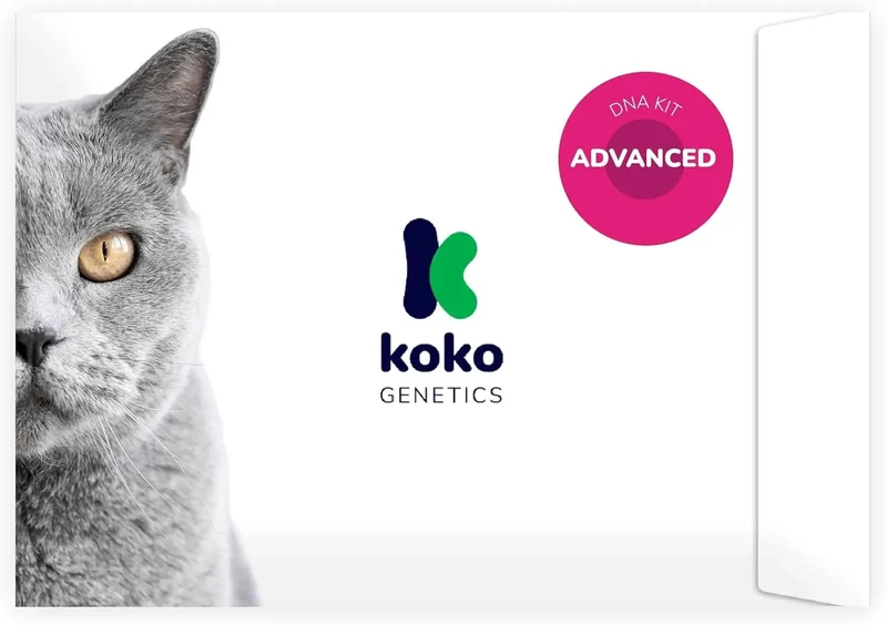 Teste ADN / DNA para Gatos - 150+ Relatórios de Raça, Saúde e Traços Físicos