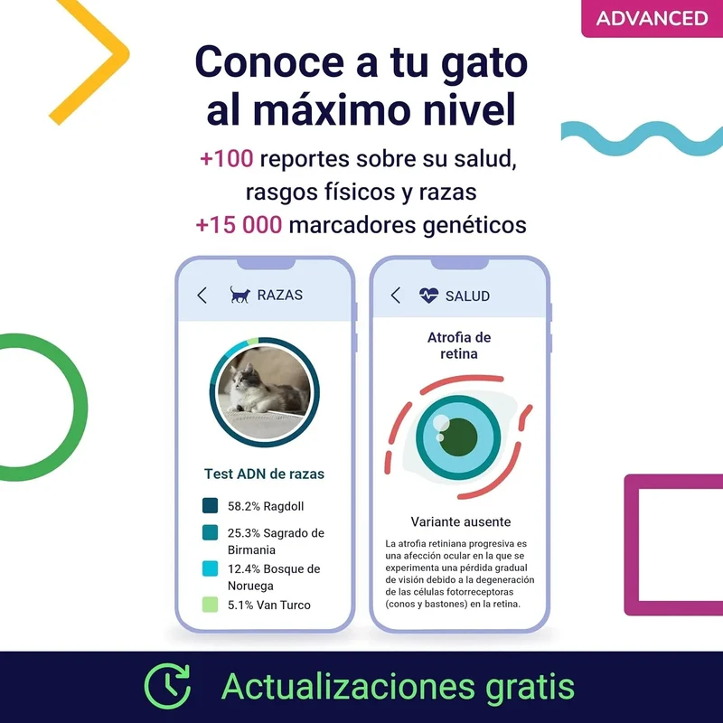Teste ADN / DNA para Gatos - 150+ Relatórios de Raça, Saúde e Traços Físicos