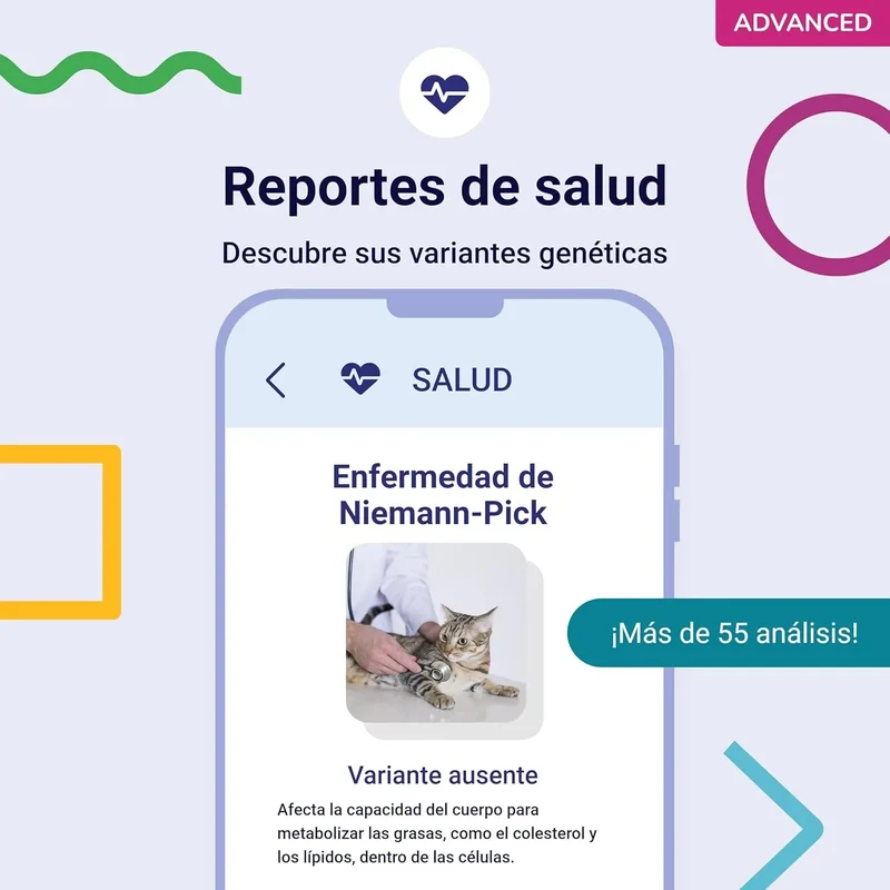 Teste ADN / DNA para Gatos - 150+ Relatórios de Raça, Saúde e Traços Físicos