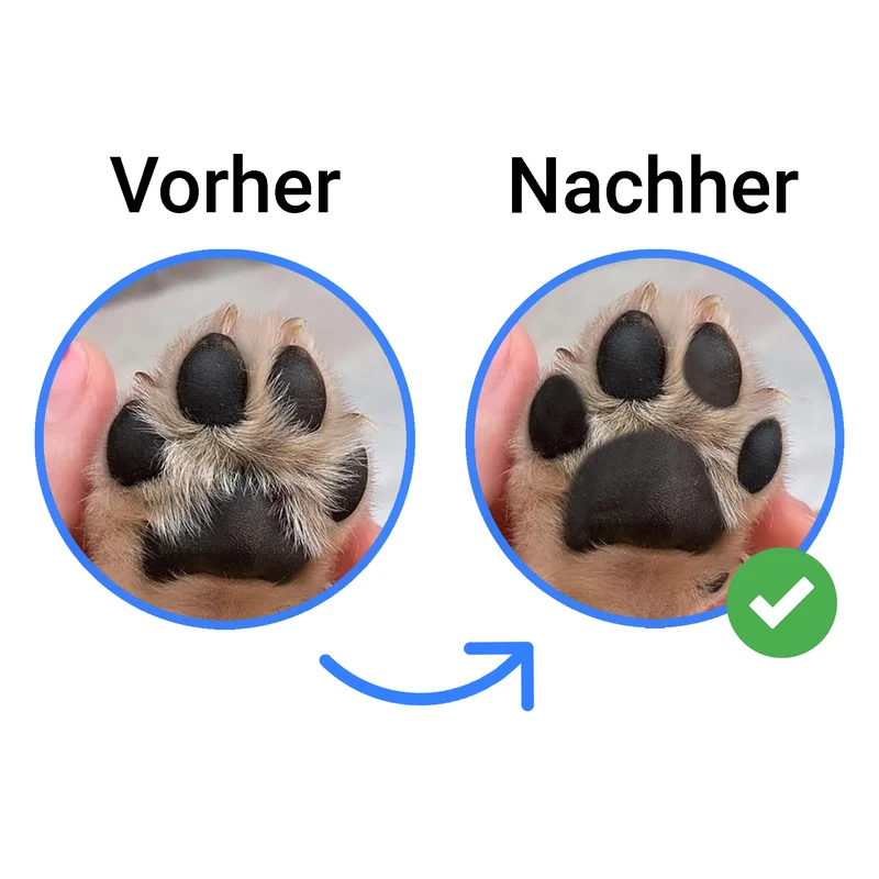 Fellnasenstube® Pfotentrimmer für Hunde & Katzen