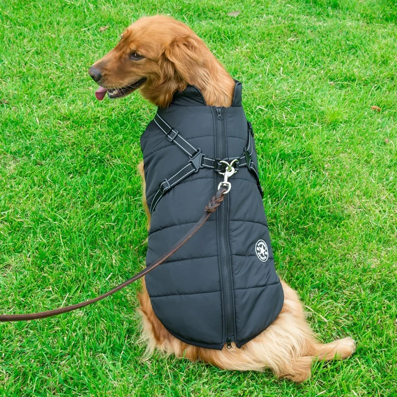 Wasserdichter Hundemantel mit integriertem Geschirr
